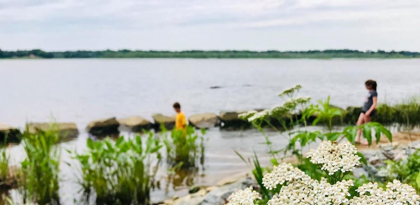 two people on a riverbank with flowers in the foreground