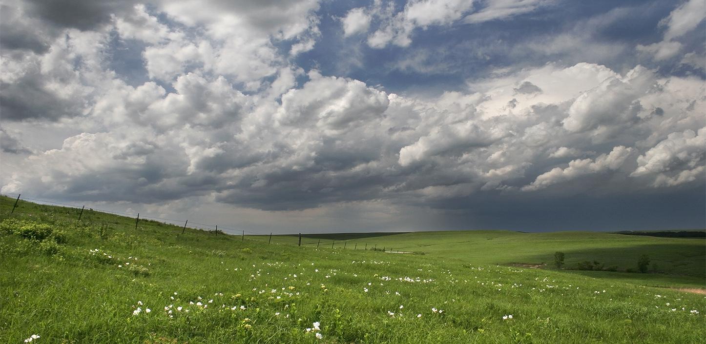 Great Plains Grasslands Framework in Focus: Wildlife Conservation