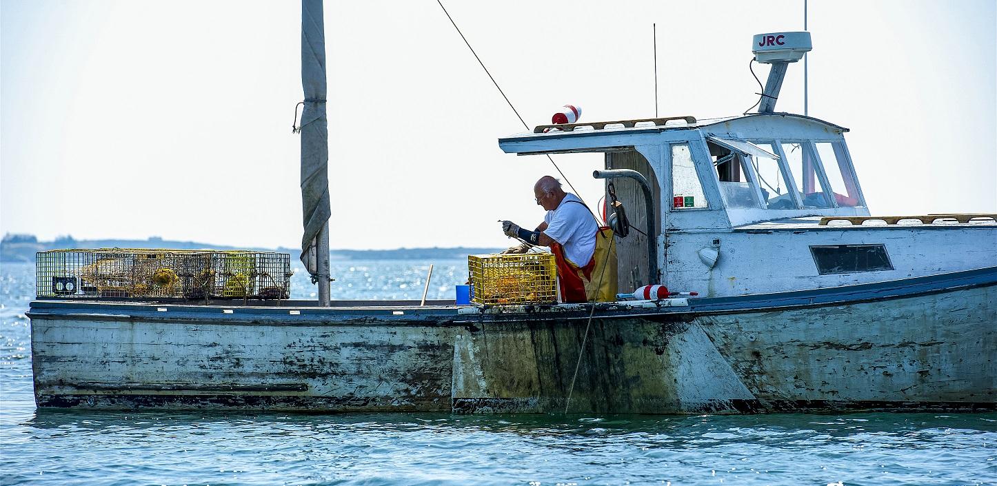 Gear Innovation - Sustainable Fisheries Partnership