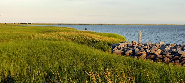 coastalresilience_banner2.jpg