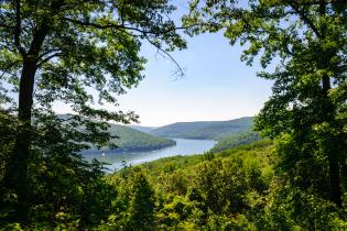 Allegheny National Forest, Pennsylvania