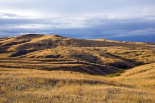 Great Plains, Montana