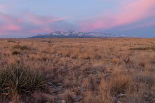 Shortgrass Prairie