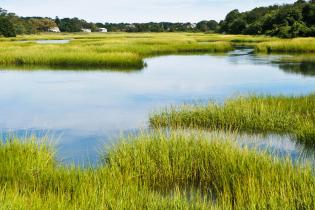 Tidal marsh in Connecticut