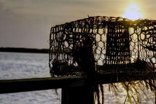 An abandoned crab pot on the Florida coast​