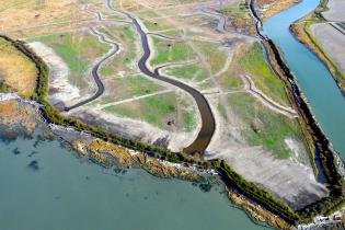 Leque Island in Washington